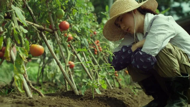 [RESENSI FILM] Little Forest Versi Jepang: Summer, Autumn, Winter, Spring