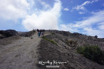 Bromo